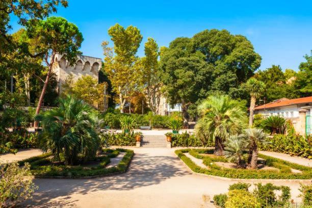 * F3 Haussmannien, Centre-Ville, 4 Pers, Wifi * Montpellier Exteriér fotografie